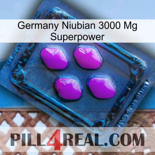 Germany Niubian 3000 Mg Superpower 04.jpg